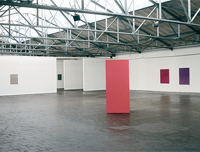 Bichrome/Portraits, Verein fĂĽr aktuelle Kunst, Oberhausen, 1999
